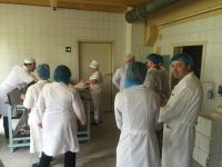 Zdjęcie - Презентация новых кондитерских изделий в ПАО Киевхлеб